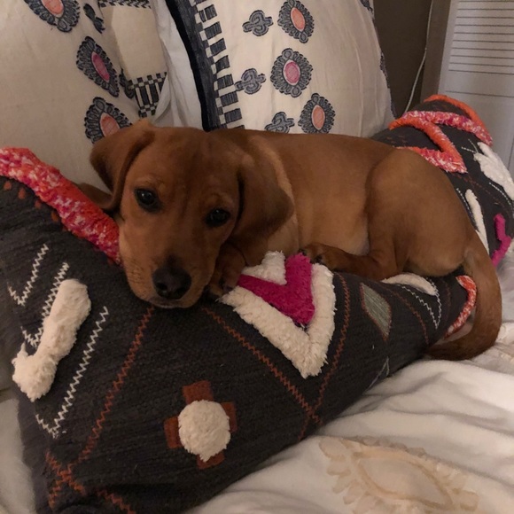 Meet your posher - Picture 2 of 3